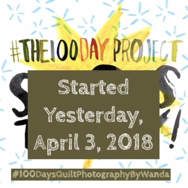 the 100 day project logo 2018